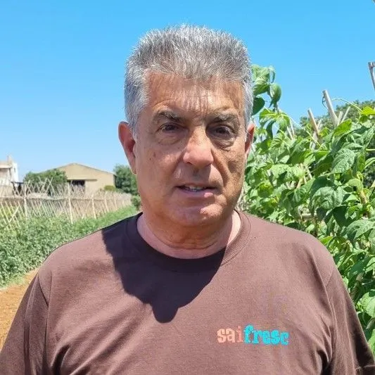 Julio Quilis Siurana image autor