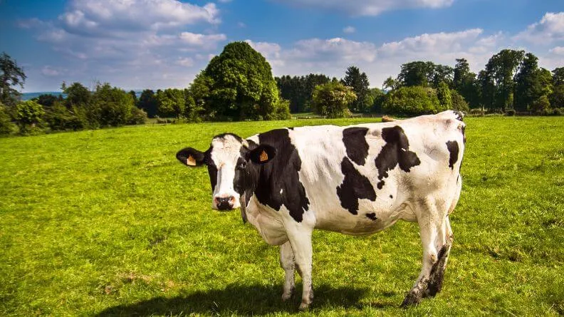 sector agroalimentario de Cantabria 2019