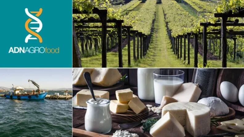 Análisis sintético del sector agroalimentario de Galicia 2018