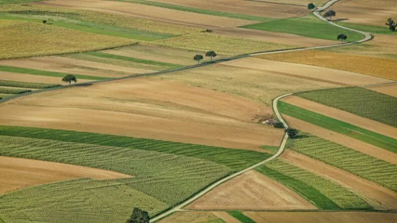 sector agroalimentario de la Región de Murcia, campo a vista de pájaro con diferentes parcelas de cultivos