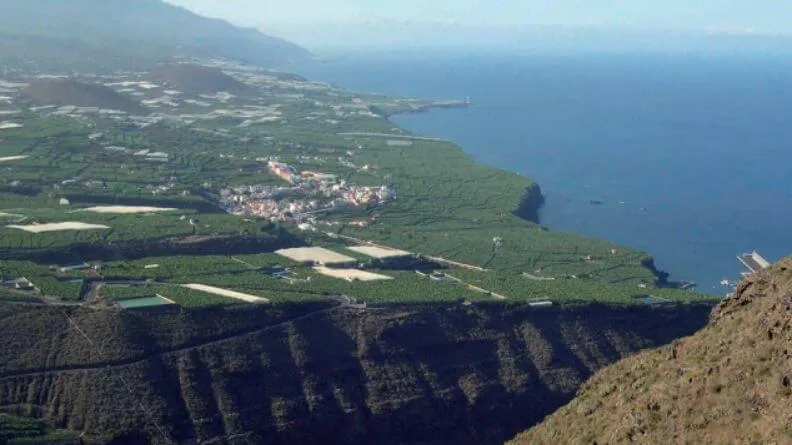 Análisis del sector agroindustrial de Canarias
