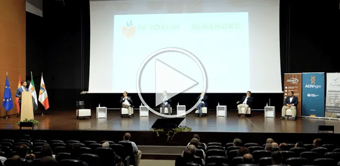 IV Fórum del Almendro