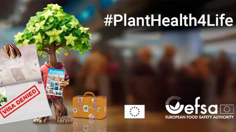 Comienza la campaña #PlantHealth4Life.