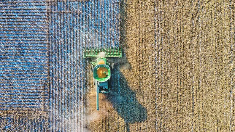 Cultivo de herbáceos. Imagen: CSIC.