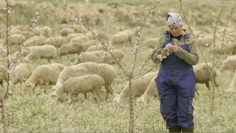 Clip del documental 'Cabeza, corazón y manos'. Imagen: Intermedia producciones.
