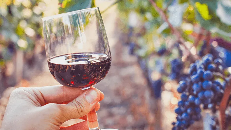 Degustación de vino español