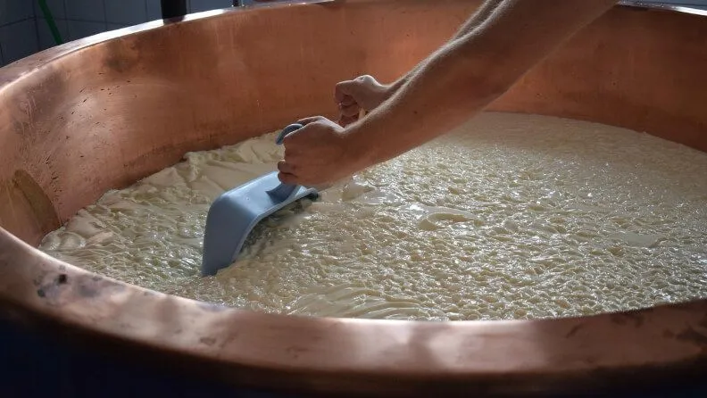 Elaboración del queso.