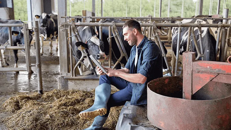 En la actualidad se están poniendo en marcha múltiples iniciativas de emprendimiento enfocadas al desarrollo rural