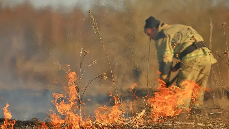 Incendio forestal
