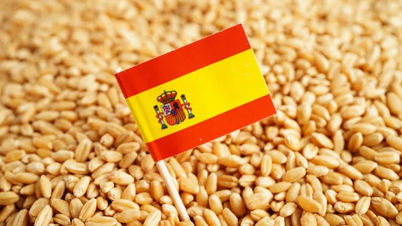 El valor de los intercambios comerciales se acelera en el primer trimestre de 2025 en medio de la incertidumbre geopolítica
