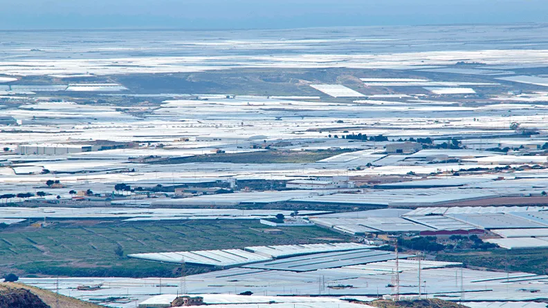 Panorámica de invernaderos en El Ejido