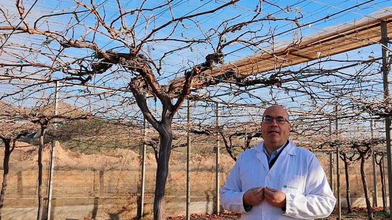 Juan José Hueso Martín, especialista en fruticultura subtropical y mediterránea en la Estación Experimental Las Palmerillas