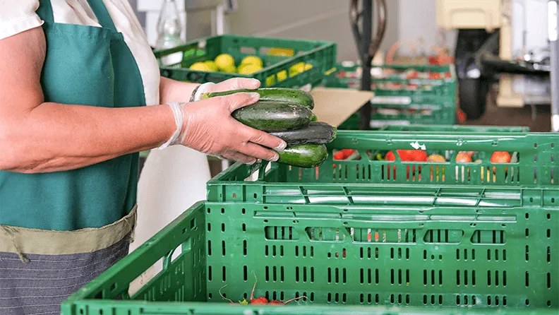Procesado de pepino