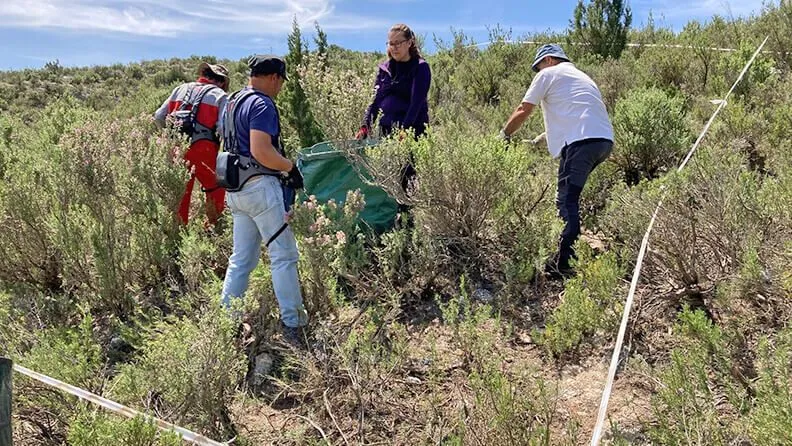 Comienzan los ensayos para extraer los aceites esenciales. CITA-Aragón.