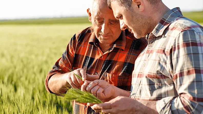 Padre e hijo agricultores