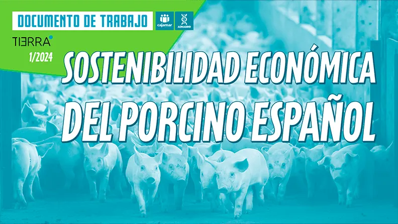 Sostenibilidad Económica del Porcino
